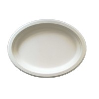 Oval Plates- 10 "  Disposable Biodegradable Sugarcane Bagasse Oval Plate